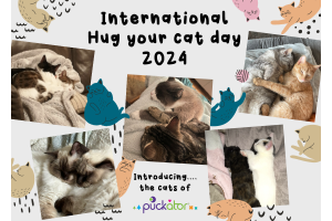 Comemore o Dia Nacional do "Abrace o Seu Gato" com a Puckator