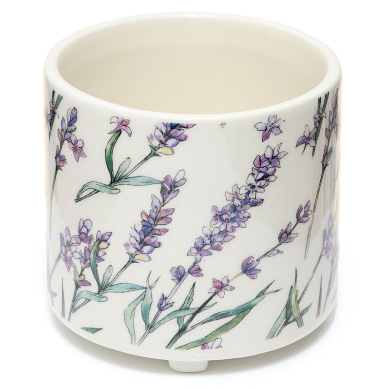 Vaso de Cerâmica para Plantas de Interior - Pick of the Bunch Campos de  Lavanda - Pequeño