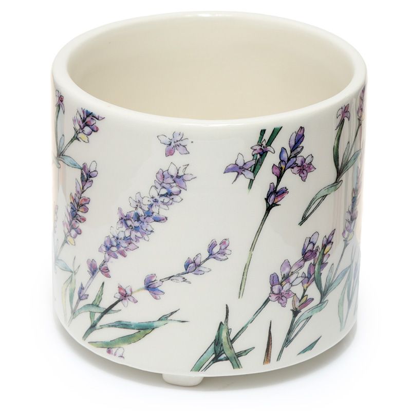 Vaso de Cerâmica para Plantas de Interior - Pick of the Bunch Campos de  Lavanda - Pequeño